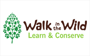 client-Walk-in-the-wild